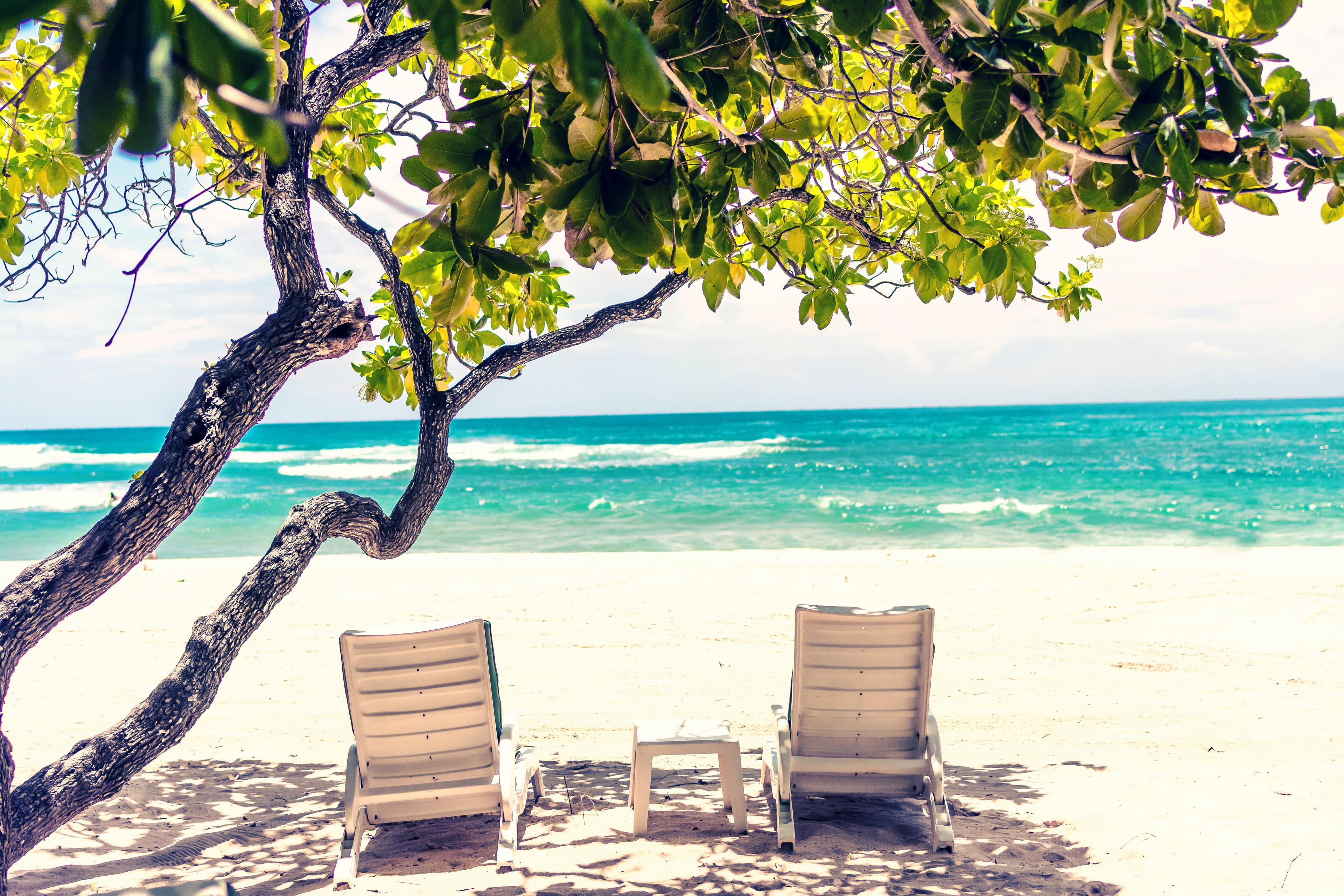 Zwei Sonnenstühle unter Palmen an einem weißen Sandstrand vor dem karibischen Meer+