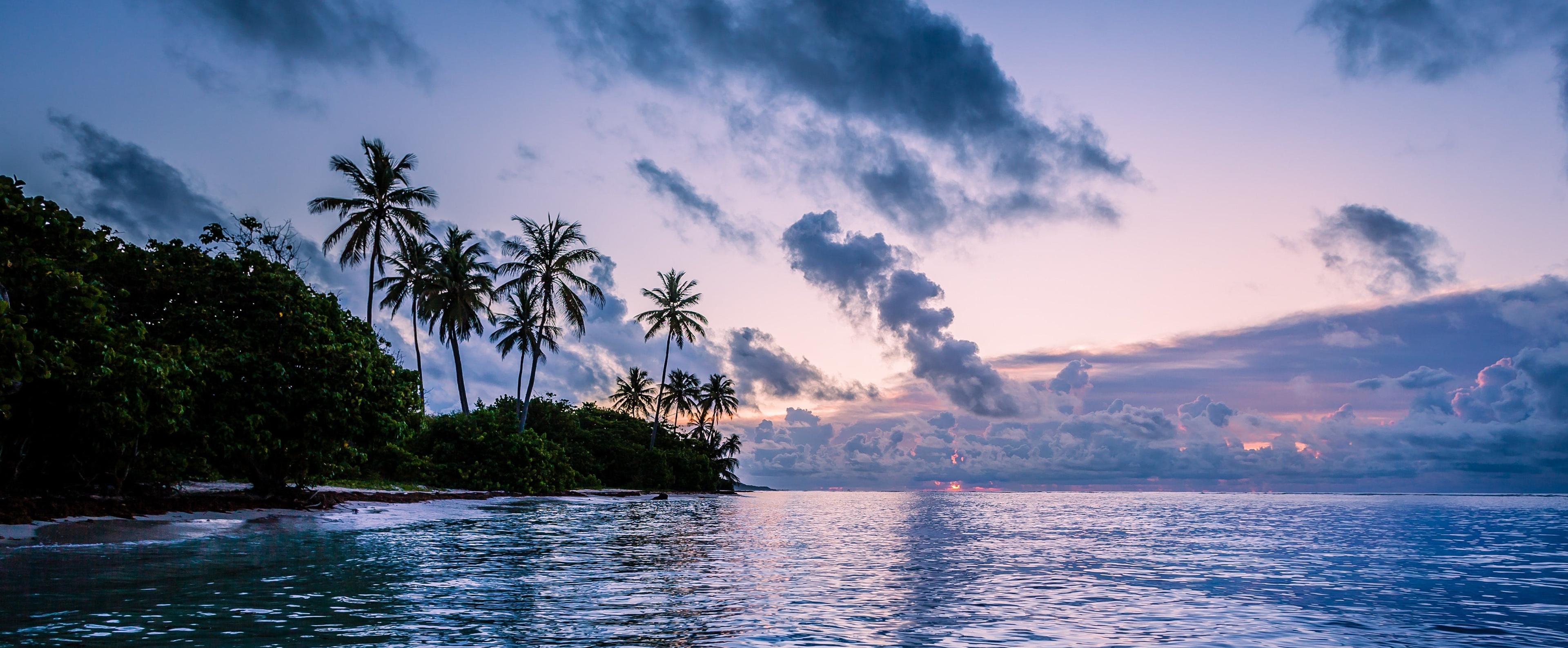 Küste von Martinique in romantischem Abendlicht, klares Wasser und Palmen