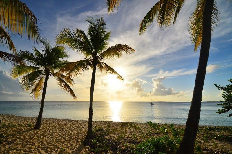Unberührter Sandstrand auf Tortola mit Palmen und Blick auf das Meer und eine Segelyacht bei Abendsonne 