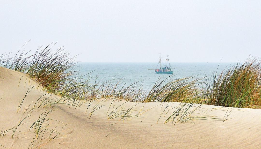Blick von der Düne auf Segelboot im Ijseelmeer